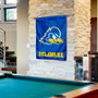 UD Blue Hens Wall Banner