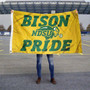 NDSU Bison Pride Flag