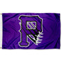 Paine Lions P Logo Flag