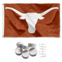 Texas Longhorns Banner Flag with Wall Tack Pads