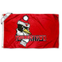 Youngstown State Penguins Large 4x6 Flag