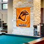 Bowling Green State Falcons Wall Banner
