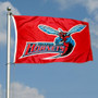 Delaware State Hornets Flag
