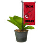 Central Missouri Mules Flower Pot Topper Flag