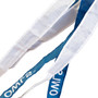 Rice Owls Windsock