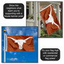University of Texas Bevo Flag