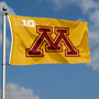 Minnesota Big 10 Flag