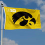 University of Iowa Big 10 Flag