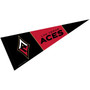 Las Vegas Aces Pennant