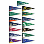The American Conference Pennants