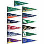 The American Conference Pennants