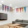 USA Conference Pennants