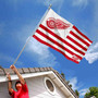 Detroit Red Wings American Nation Flag