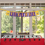 Minnesota Vikings Banner String Pennant Flags