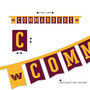 Washington Commanders Banner String Pennant Flags