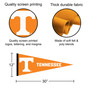 University of Tennessee Logo Pennant