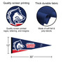 Colorado State University Pueblo Wordmark Logo Pennant