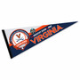 Virginia Cavaliers 2024 College Baseball Series CWS Pennant