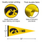 University of Iowa Big 10 Pennant