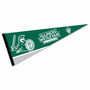Illinois Wesleyan University Wordmark Logo Pennant