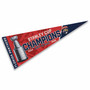 Florida Panthers 2025 Stanley Cup Champions Pennant