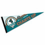 Coastal Carolina University 2025 College Baseball Series Pennant
