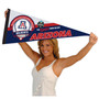 University of Arizona 2025 College Baseball Series Pennant