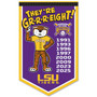 Louisiana State LSU Tigers 2025 College Baseball 8 Time National Champions Banner