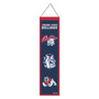 Fresno State University Bulldogs Evolution 8x32 Inch Vertical Wool Embroidered Hanging Banner
