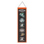 Anaheim Ducks Evolution 8x32 Inch Vertical Wool Embroidered Hanging Banner