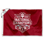 Indiana Hoosiers 2025 National Champions Large 4x6 Flag