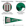 Mexico Baseball Logo Pennant