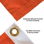 Virginia Cavaliers 2026 Women's Swimming and Diving National Champions Orange 3x5 Flag