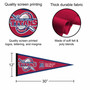 Detroit Mercy Titans 12 in X 30 in Wordmark Logo College Pennant