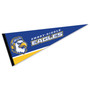 Embry Riddle Daytona Eagles 12 in X 30 in Wordmark Logo College Pennant