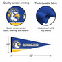 Embry Riddle Daytona Eagles 12 in X 30 in Wordmark Logo College Pennant