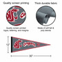 Washington State Cougars 12 in X 30 in Wordmark Logo College Pennant