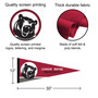 LR Bears Wordmark Logo Pennant