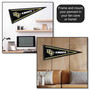 Central Florida Knights 12 in X 30 in Logo College Pennant