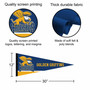 Canisius Golden Griffins 12 in X 30 in Logo College Pennant