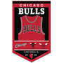Chicago Bulls History Heritage Logo Banner