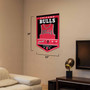 Chicago Bulls History Heritage Logo Banner