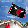 Chicago Bulls Flag Pole and Bracket Kit