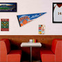 NY Knicks Pennant