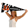 Cincinnati Bengals White Jungle Stripes Pennant