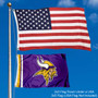 Minnesota Vikings 2x3 Feet Flag