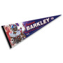 New York Giants Barkley Pennant Flag