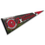 Tampa Bay Buccaneers 2 Time Super Bowl Champions Pennant Flag