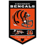 Cincinnati Bengals History Heritage Logo Banner