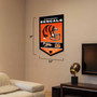 Cincinnati Bengals History Heritage Logo Banner